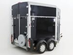 Ifor Williams Reboque para cavalos HB506-Saída frontal-Novo - Image 3